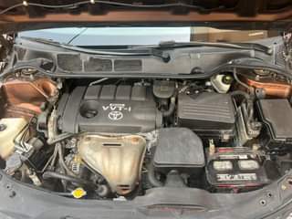 A picture of Awoof