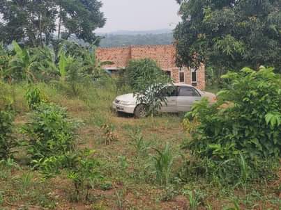 houses matugga