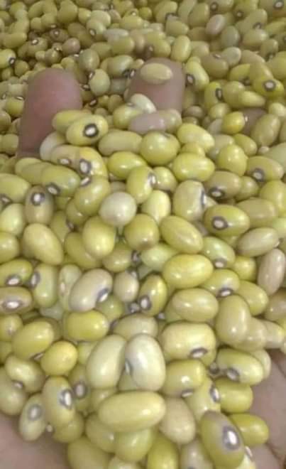 A picture of Mchele na Maharage Piga 0769217810 Whatsapp 0677988499