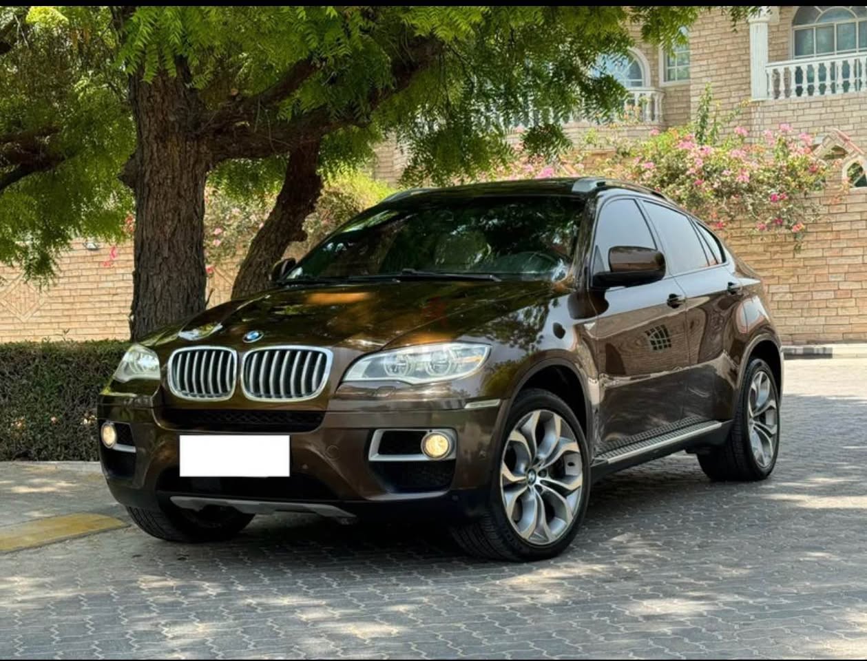 A picture of BMW x6 50i 2013 v8