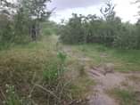A picture of SHAMBA HEKA 5 LINAUZWA KILA HEKA TSH 200 000 LIPO