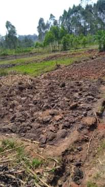 A picture of Land