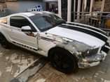A picture of Mustang ford