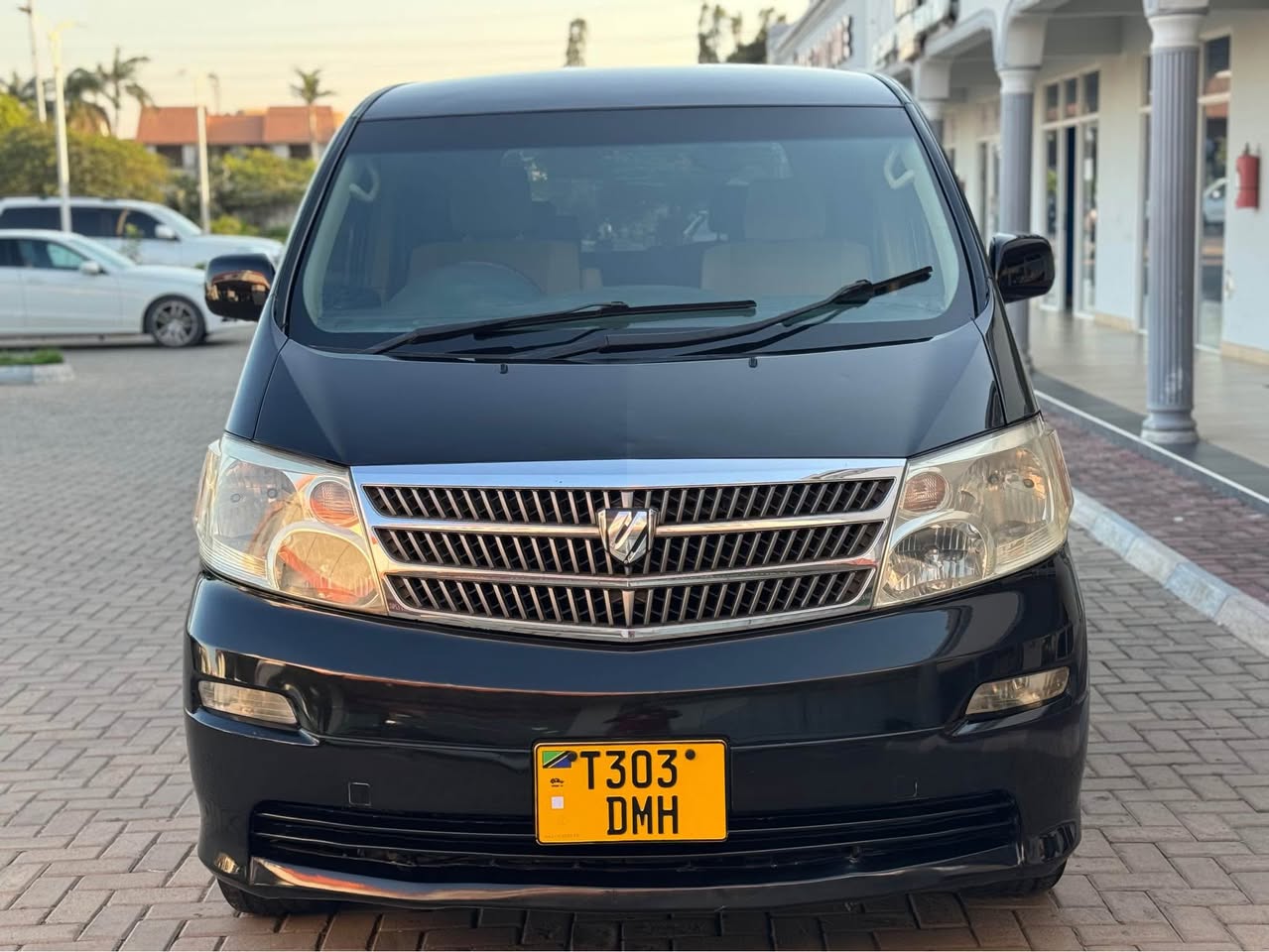 A picture of Alphard 2004