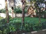 A picture of Inapangishwa sakina arusha