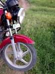 A picture of TVS STAR NO D INAUZWA