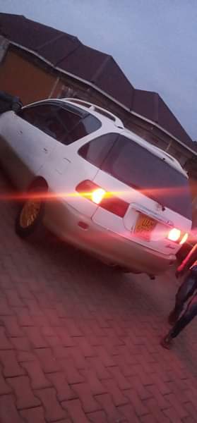 A picture of 5 3m 0705627113