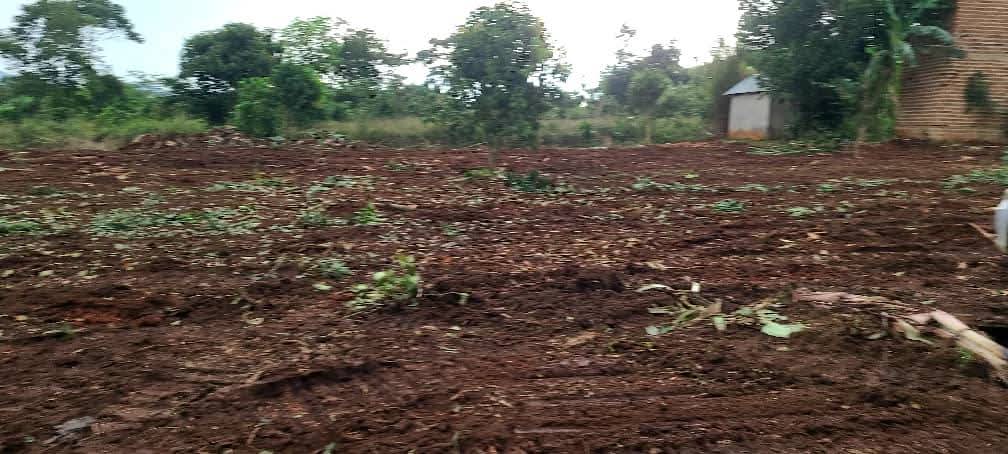 A picture of Tittled Plots of land in in kakiri