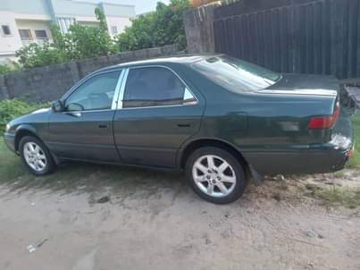A picture of Camry timnylight
