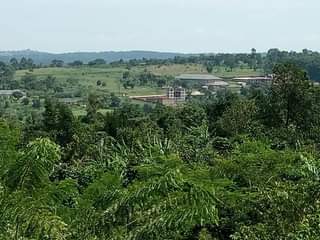 A picture of 2 Acres of private mile land title for sale 50m