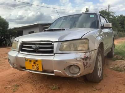 A picture of SUBARU FORESTER