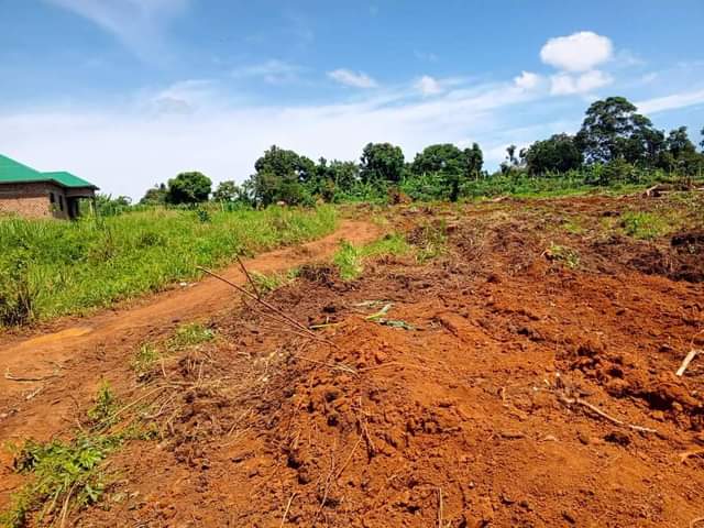 houses matugga