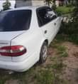 A picture of corolla
