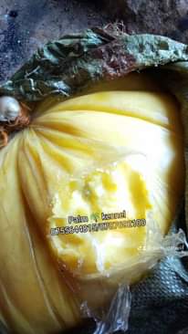 A picture of Palm kernel