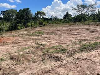 A picture of NAMAYUMBA TITLED PLOTS FOR SELL
