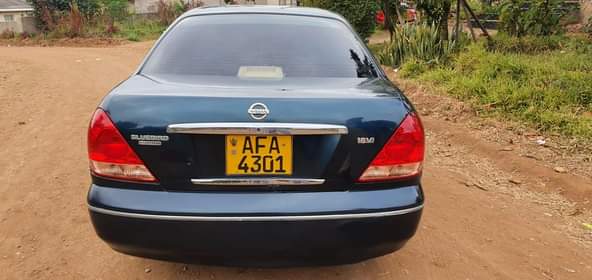 used nissan sylphy