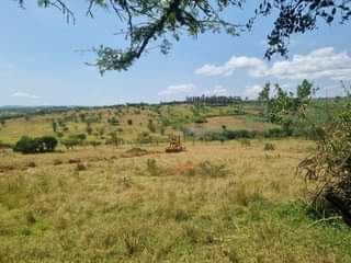 A picture of 7 5M FOR EVERY 50X100FT PLOT