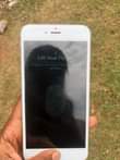 A picture of iPhone 6splus