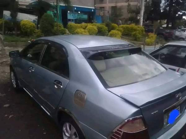 used toyota corolla