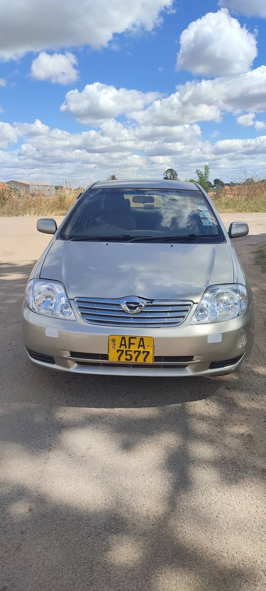 toyota corolla bubble