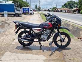 A picture of Boxer x 125