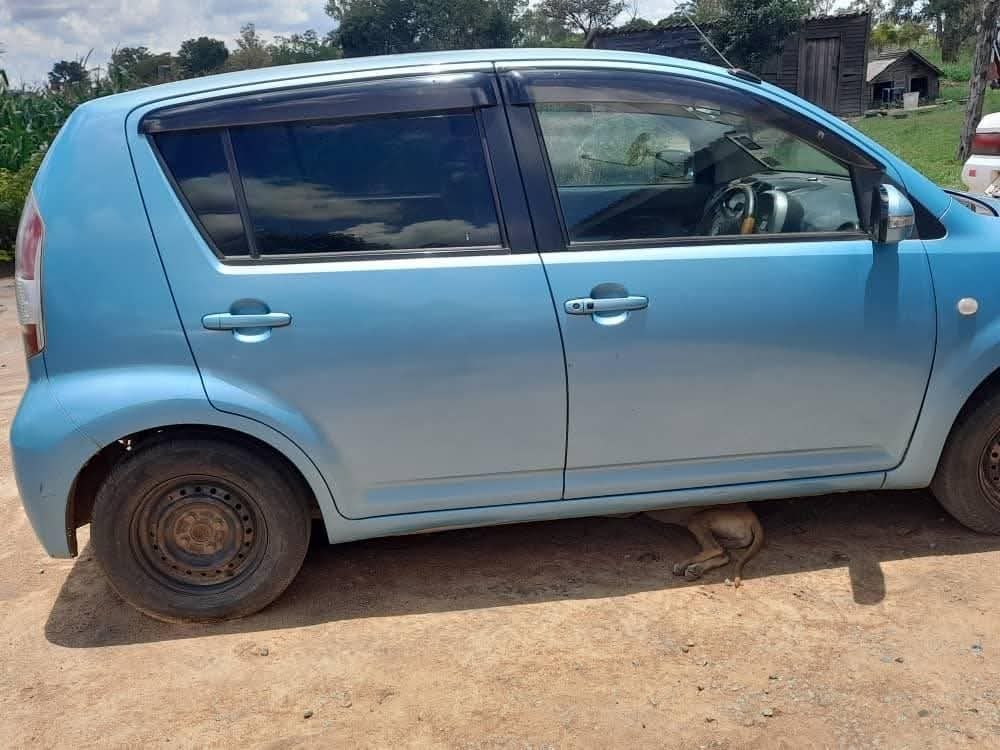 used toyota passo