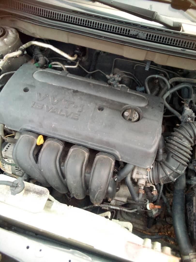 A picture of 2026 Toyota corolla