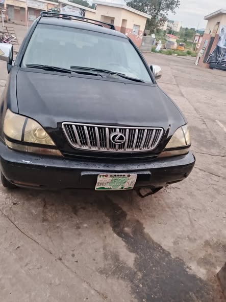 A picture of Lexus RX300 2004 Model