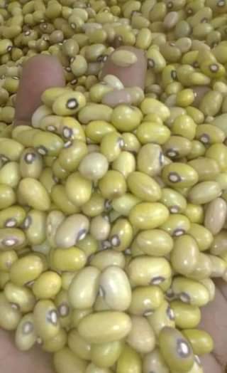 A picture of Piga 0769217810 Whatsapp 0677988499