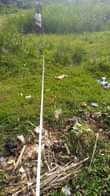 A picture of Land