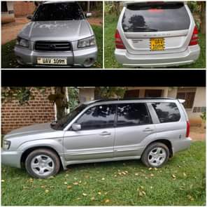 A picture of Grande 10m Forester 11m cal 0709 633379