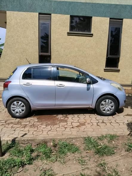 A picture of vitz