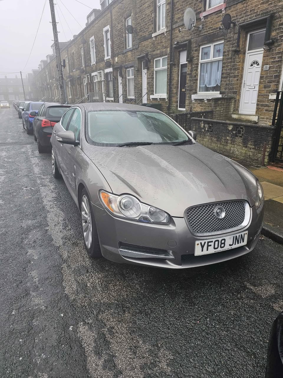 jaguar