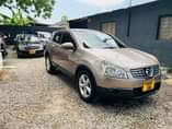 A picture of Nissan Dualiz