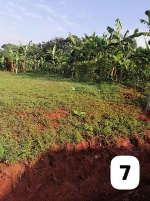 A picture of Affordable Residential Commercial Plots available on Sale at KASENGE NATEETE
