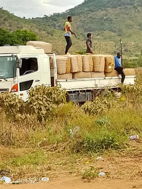 🇲🇼 M.