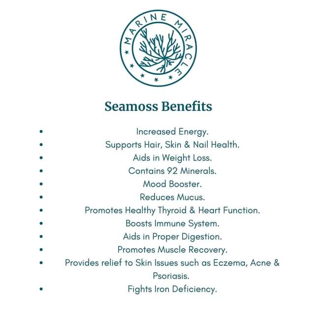 A picture of Seamoss