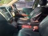 A picture of Harrier Kawundo Black Beauty