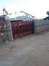 nemamwa stands