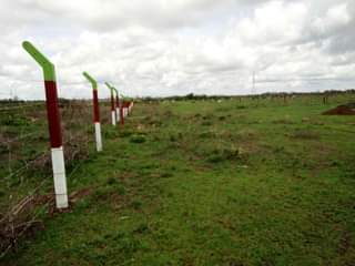 Wambui L.