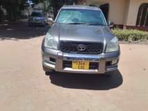 A picture of PRADO DIAMOND FOR SALE