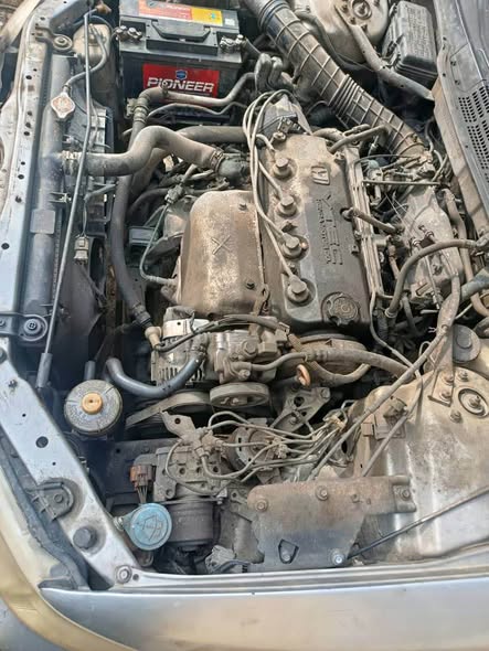 A picture of Honda Accord baby boy pure first body for sale price