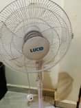 A picture of lucid good condition