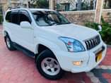 A picture of PRADO TX DIAMOND DRT Full File Full A c TSH