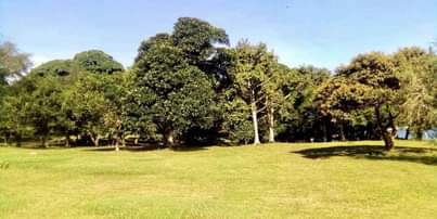 A picture of 10 Arcers of land in Kalangala ready and good for