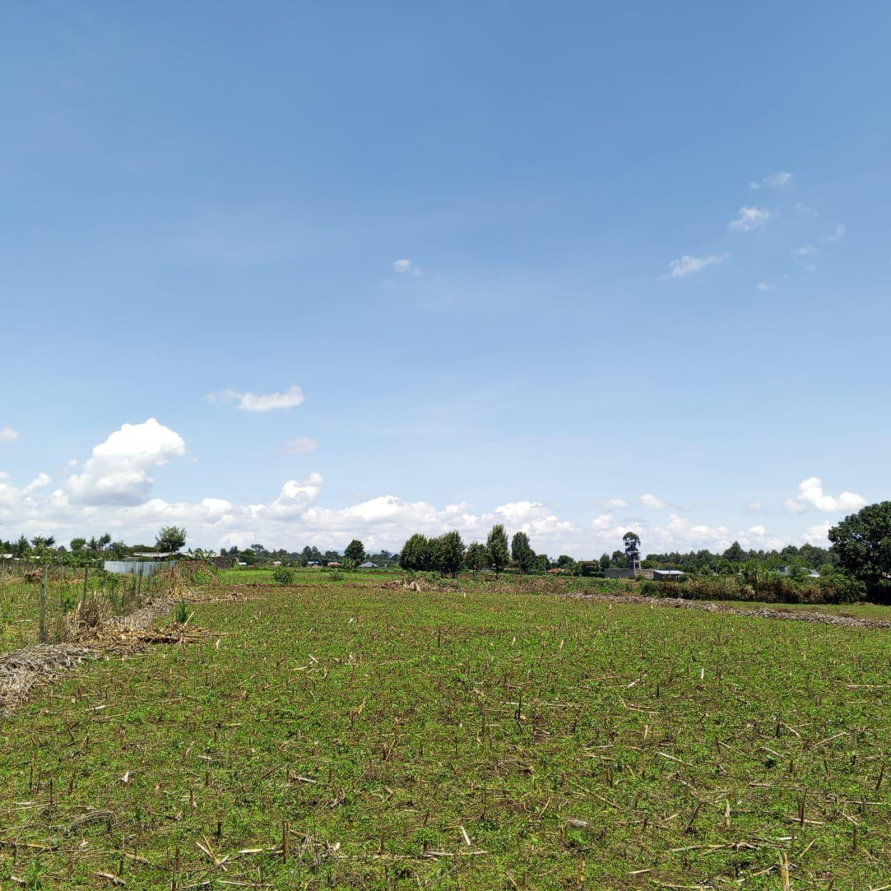 property with title deeds