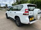 A picture of Prado TX 150