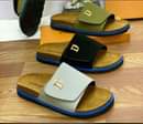 A picture of Birkenstocks Palm Slippers