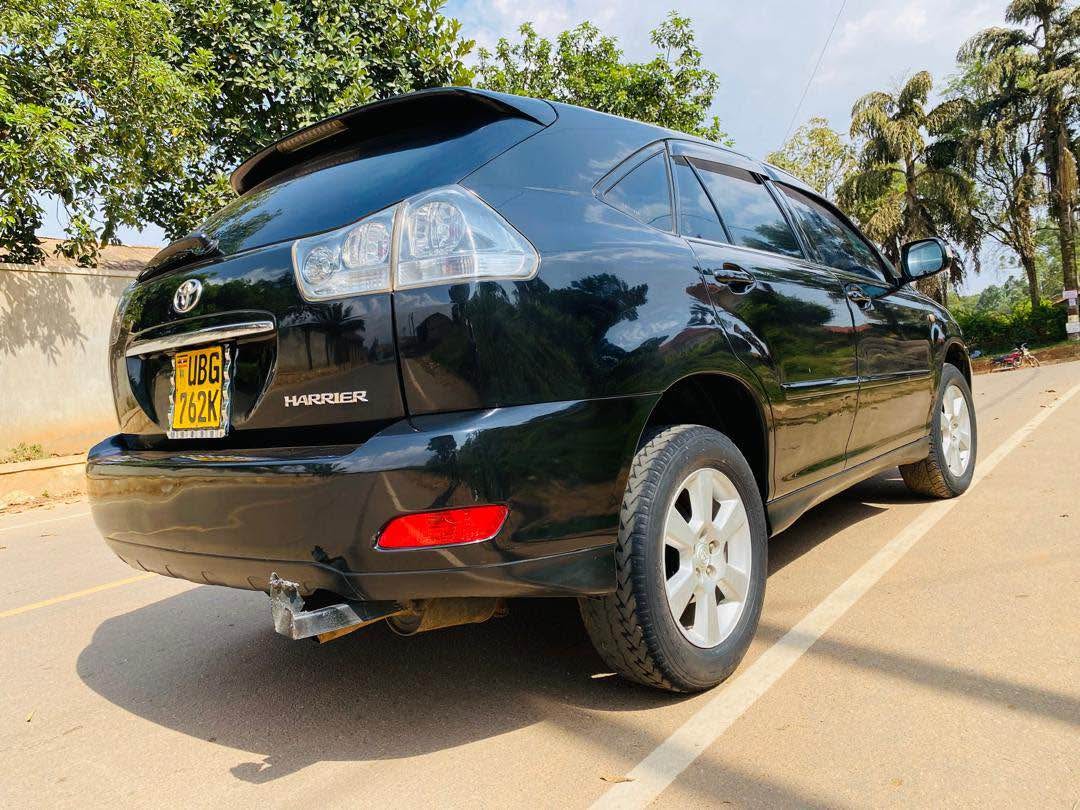 A picture of Harrier kawundo