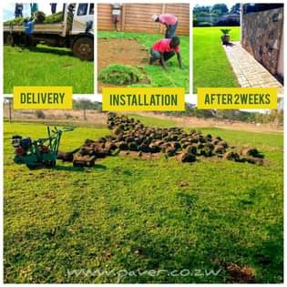 landscaping ssrvices